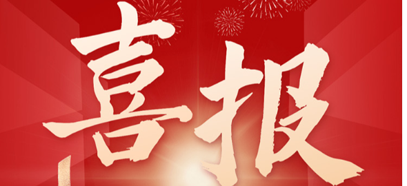 喜报 | 304am永利集团助力合作伙伴山东鲁西药业原料药备案成功